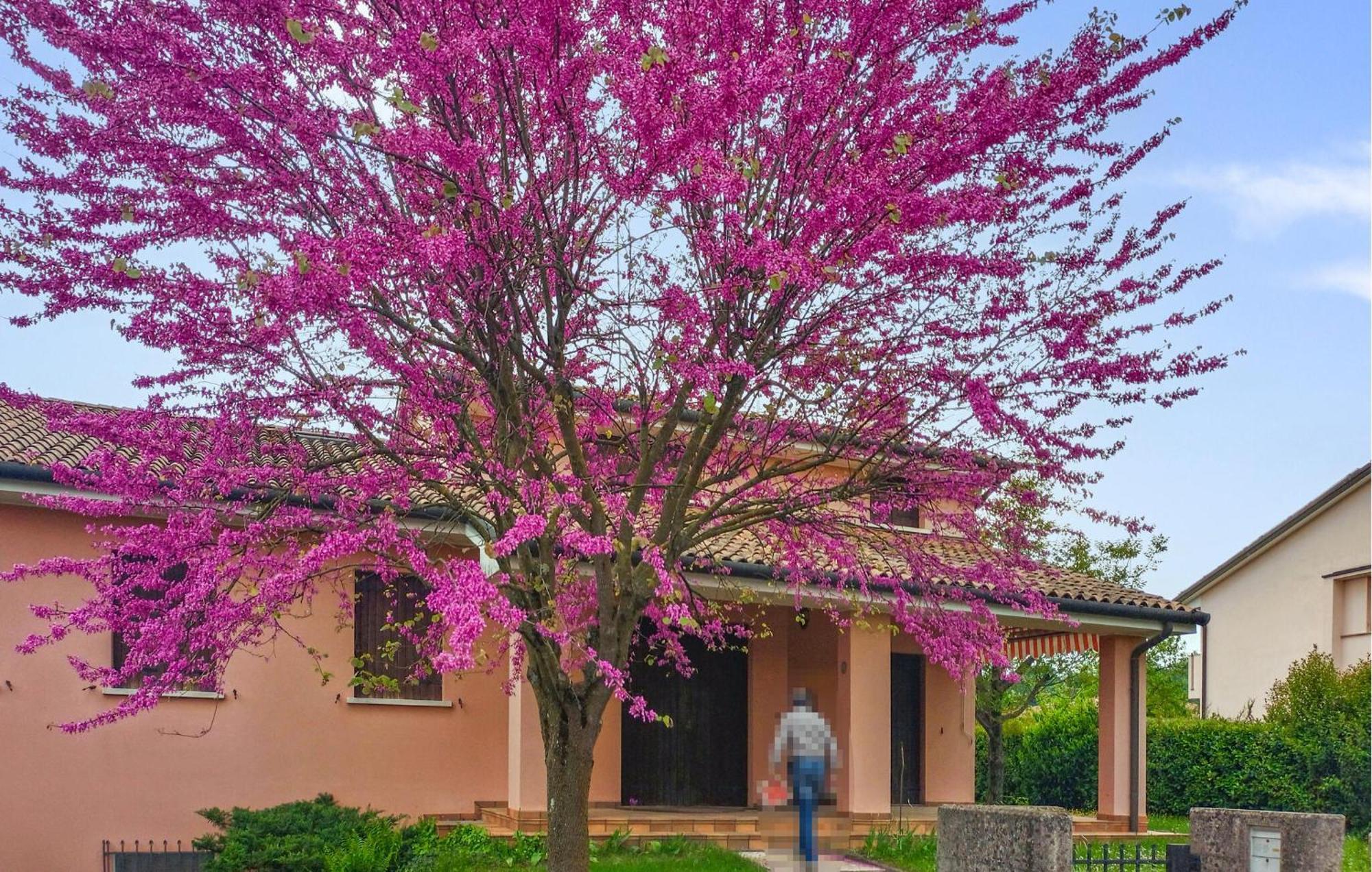 Gorgeous Apartment In San Pietro Di Feletto Exterior photo